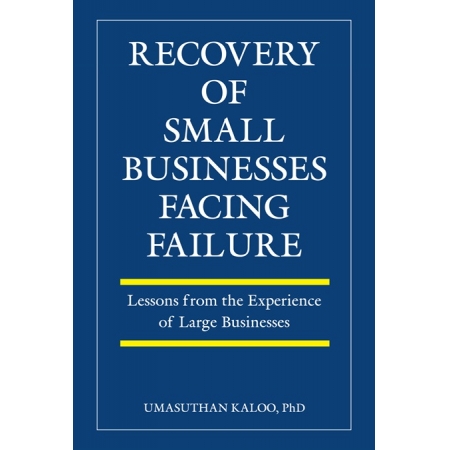 Recovery Of Small Businesses F...
