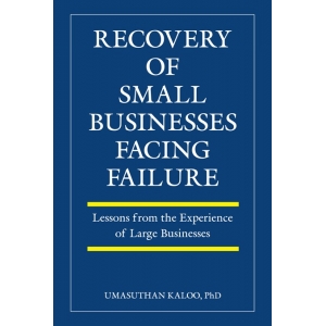 Recovery Of Small Businesses Facing Failure: Lessons from the Experience of Large Businesses