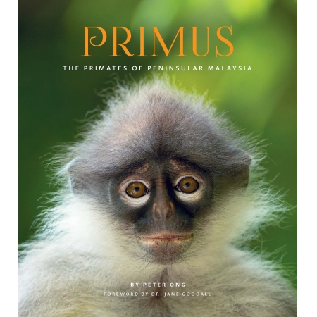 Primus - The Primates of Peninsular Malaysia