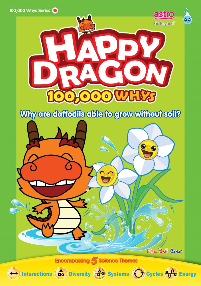 HAPPY DRAGON # 48 ~ WHY ARE DAFFODILS ABLE TO GROW WITHOUT SOIL ?